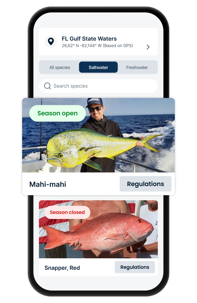 Catch Feed